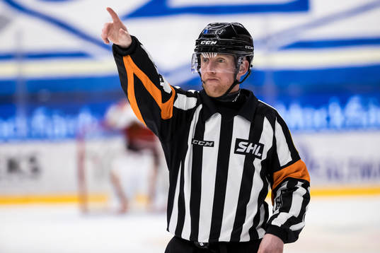 Domare Mikael Holm