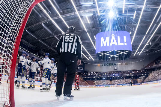 Leksands spelarna jublar