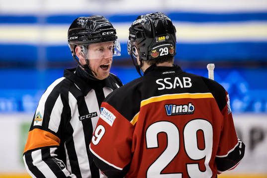 Domare Mikael Holm