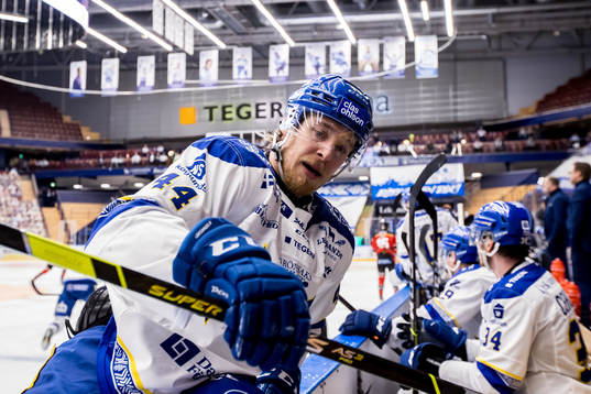 Leksands Carter Ashton