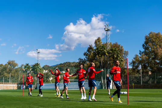 Stefan Strandberg, Haitam Aleesami and Joshua King of the