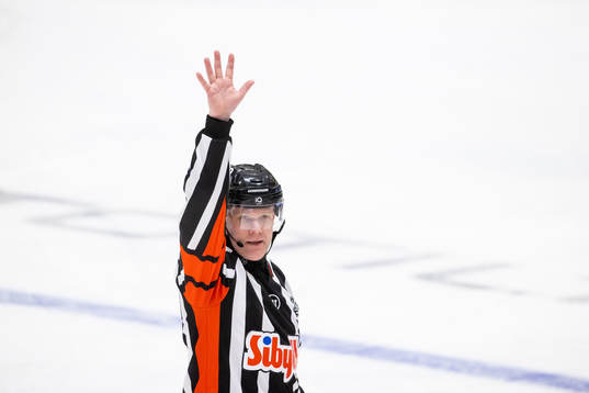 Domare Anders Sandahl