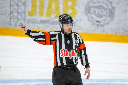 Domare Anders Sandahl