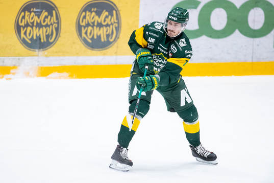 Björklövens Nikolai Belov