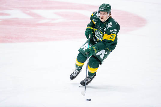 Björklövens Adam Plant
