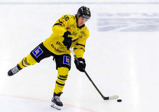 Västerås Alexander Lunsjö