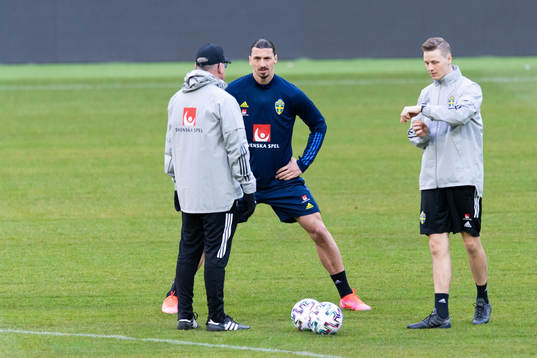 Head coach Janne Andersson and Zlatan Ibrahimovic of the