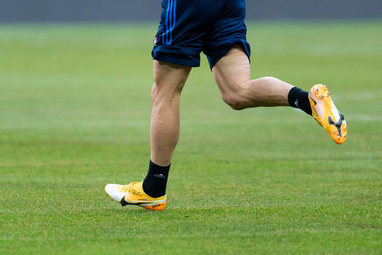 Zlatan Ibrahimovic of the Swedish national football team