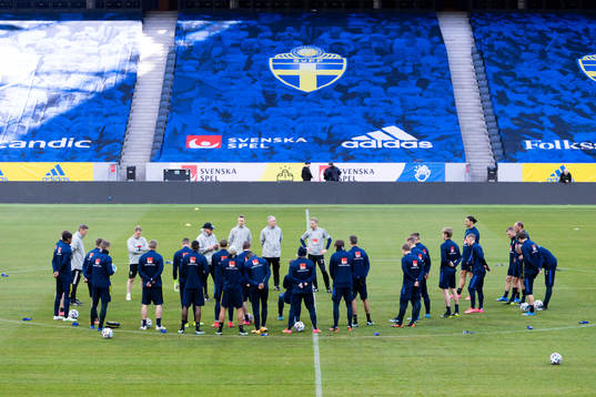 The players of the Swedish national football team gather