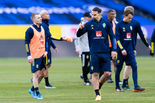 Sebastian Larsson and Zlatan Ibrahimovic of the Swedish