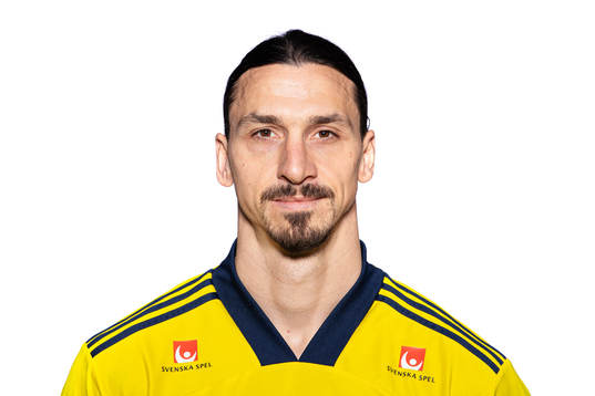 Bläddra bland fler bilder av Football, FIFA World Cup Qualifier, Sweden, portraits 