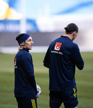 Emil Forsberg and Zlatan Ibrahimovic of the Swedish