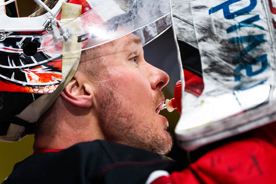 Malmö Redhawks målvakt Lars Volden
