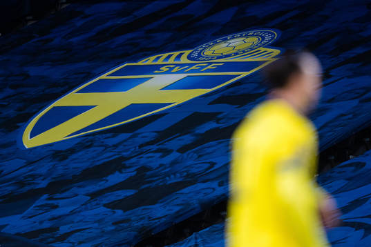 The swedish football associations logo