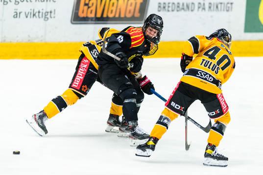 Brynäs Lara Stalder