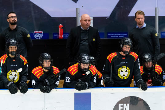 Brynäs spelare deppar