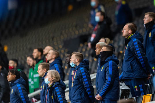 Marcus Berg and Andreas Granqvist of Sweden in the stands