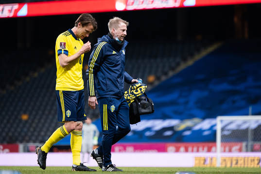Albin Ekdal of Sweden leaves the pitch
