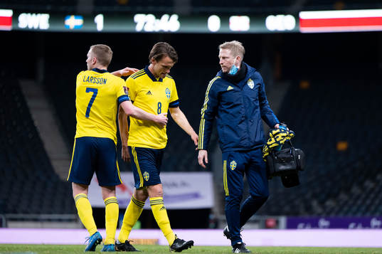 Albin Ekdal of Sweden leaves the pitch
