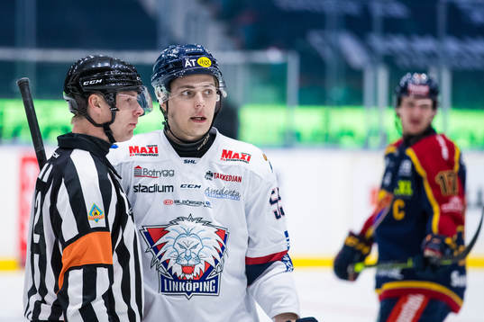 Linköpings Max Lindroth i diskussion med domare