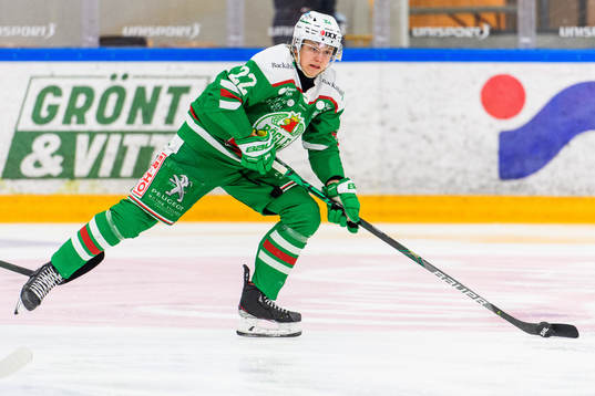 Rögles Samuel Jonsson