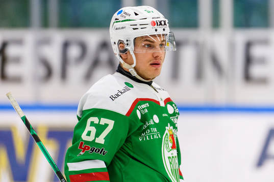Rögles Leon Bristedt