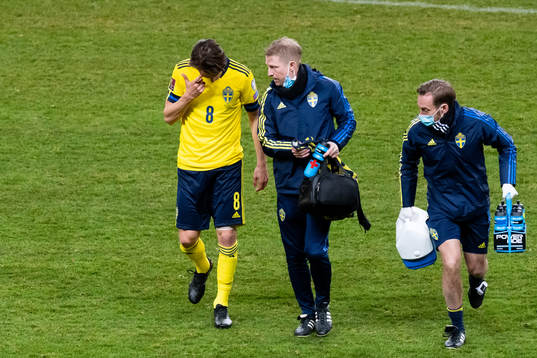 Albin Ekdal of Sweden leaves the pitch