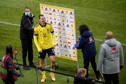 Zlatan Ibrahimovic of Sweden