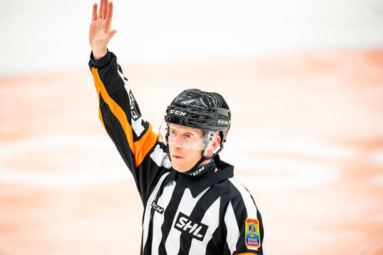 Domare Mikael Holm