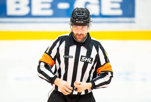 Domare Mikael Sjöqvist