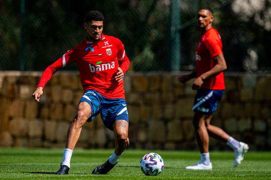 Bjørn Maars Johnsen of the Norwegian national football team