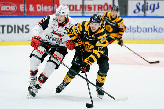 Malmö Redhawks Eric Engstrand och Skellefteås Pär