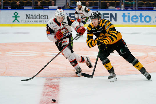 Malmö Redhawks Helge Grans och Skellefteås Adam Wilsby