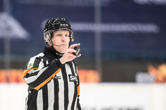 Domare Morgan Johansson