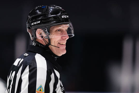 Domare Morgan Johansson