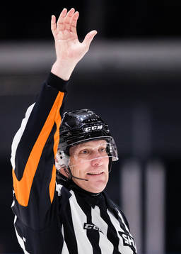Domare Morgan Johansson