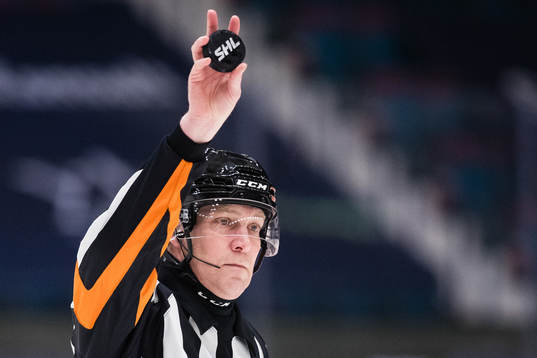 Domare Morgan Johansson