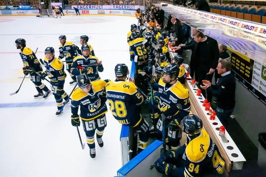 Spelarna i HV71