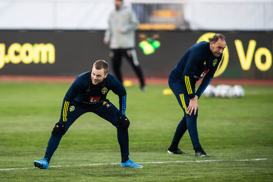 Sebastian Larsson and Andreas Granqvist of the Swedish