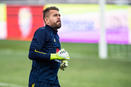 goalkeeper Kristoffer Nordfeldt of the Swedish national