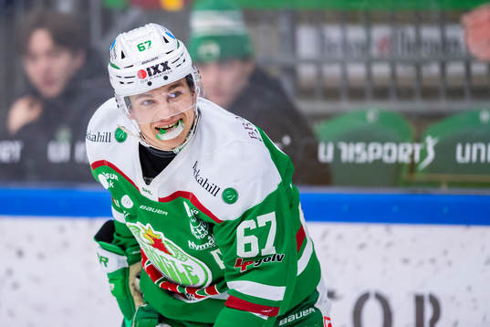 Rögles Leon Bristedt