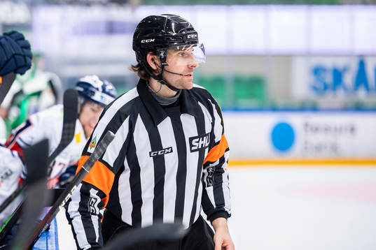 Domare Mikael Sjöqvist