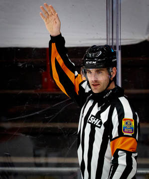 Domare Richard Magnusson