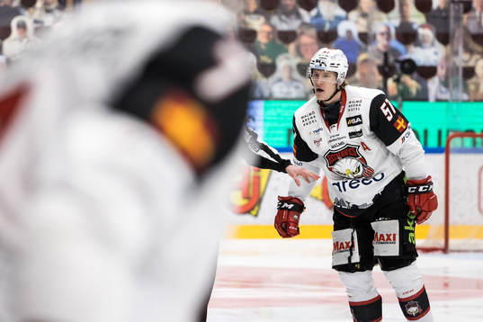 Malmö Redhawks Emil Sylvegård
