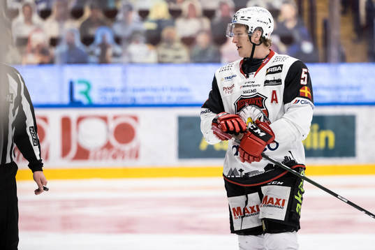Malmö Redhawks Emil Sylvegård