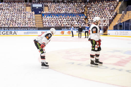 Malmö Redhawks spelarna deppar