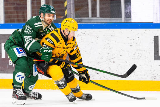 Färjestads Martin Johansson och Skellefteås Oskar Nilsson