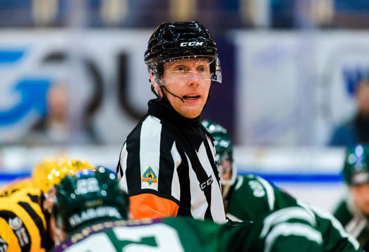 Domare Mikael Holm