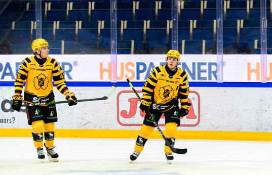 Skellefteås Jonatan Berggren och Andreas Wingerli deppar