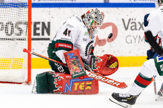 Frölundas målvakt Niklas Rubin